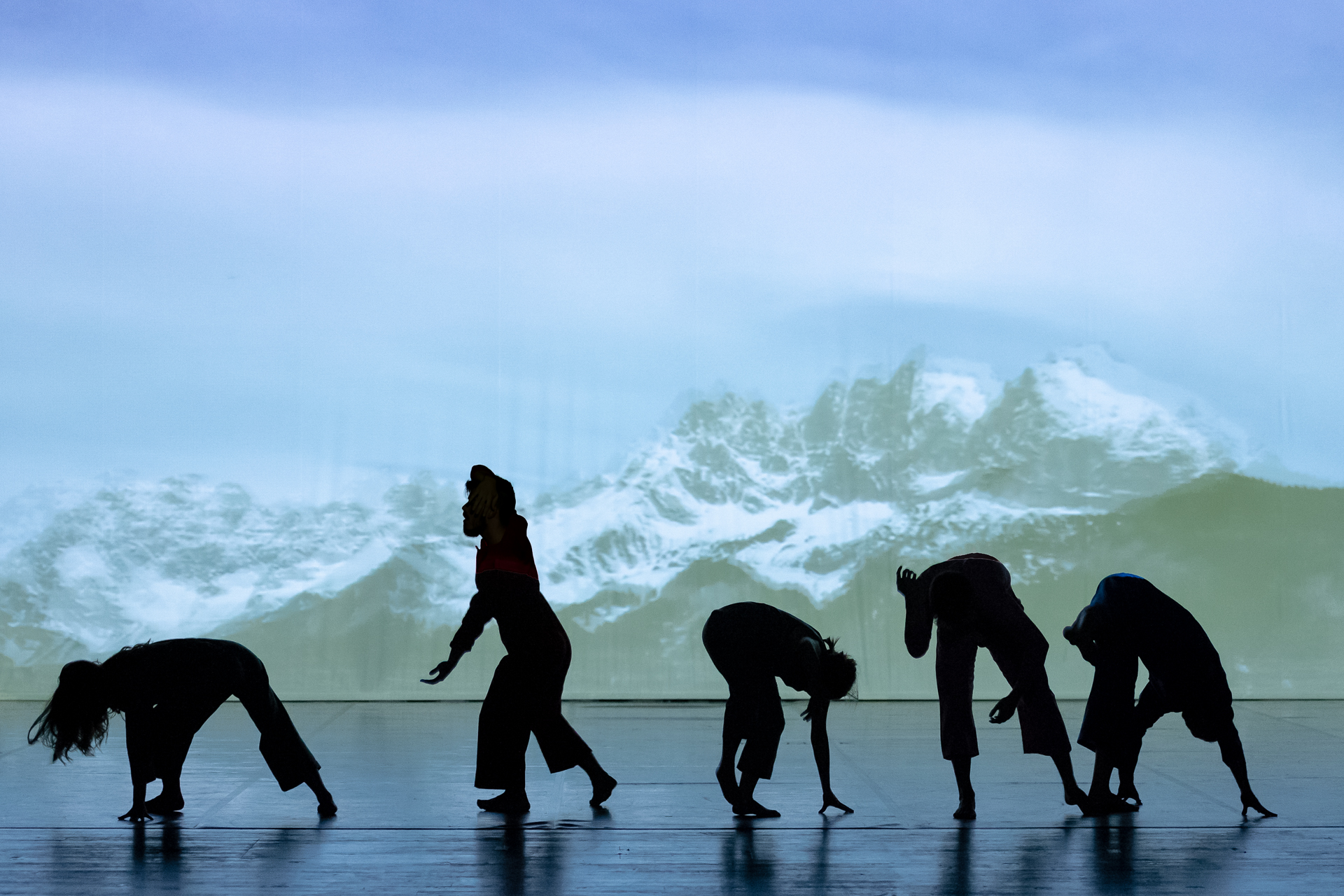 010 021 PS29540 Pedro Sardinha